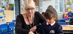 Curriculum
